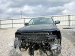 Ford Ranger 2024