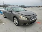 Nissan Maxima 2013
