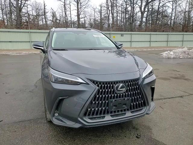 Lexus NX 2024