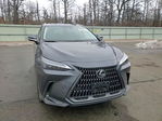 Lexus NX 2024