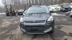 Ford Escape 2015