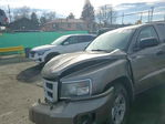 Dodge Dakota 2010