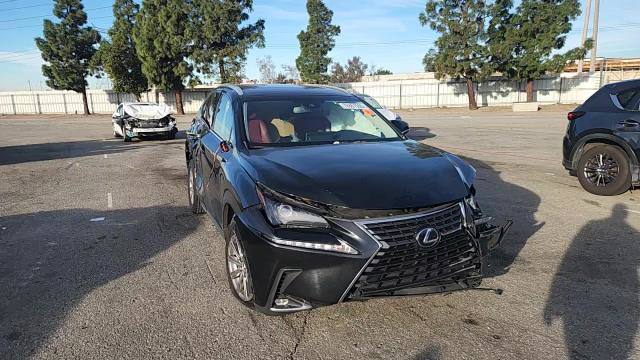 Lexus NX 2019