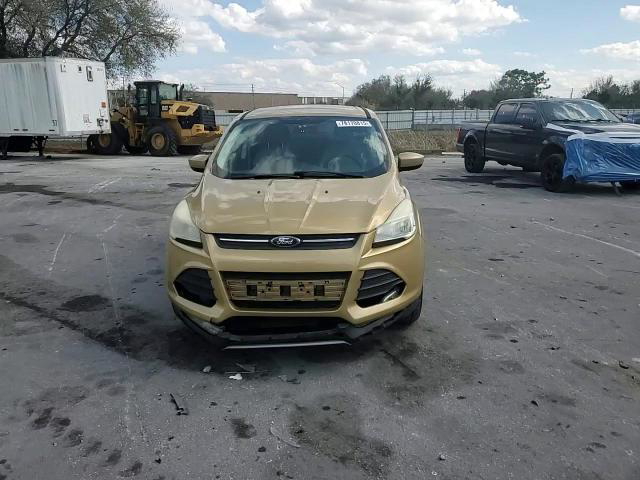 Ford Escape 2014