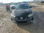 Nissan Maxima 2019