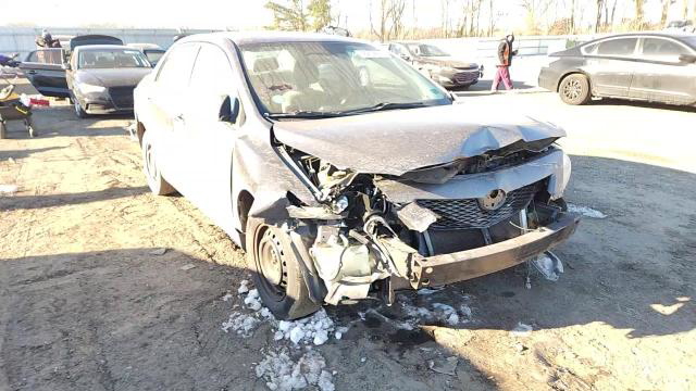 Toyota Corolla 2010