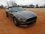 Ford Mustang 2015