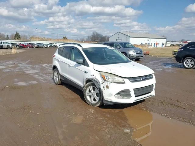 Ford Escape 2014