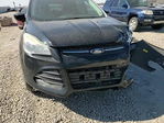 Ford Escape 2016