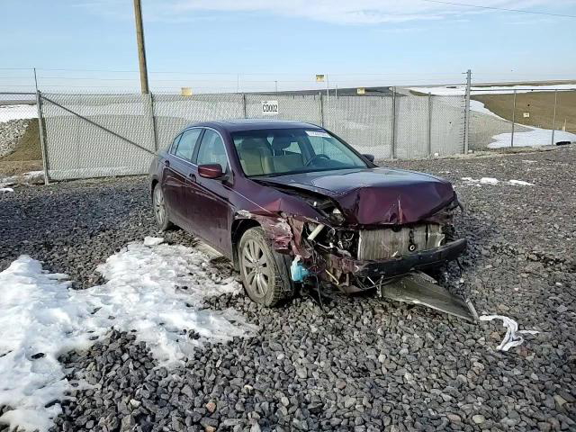 Honda Accord 2012