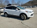 Ford Escape 2016