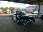 Ford Mustang 1995