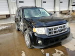 Ford Escape 2012