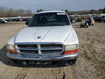 Dodge Dakota 2000