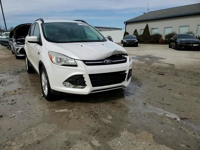 Ford Escape 2014