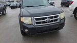 Ford Escape 2011