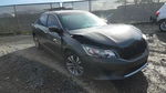 Honda Accord 2013