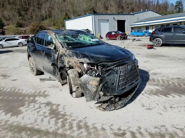 Lexus NX 2025