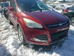 Ford Escape 2015