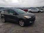 Ford Escape 2015