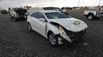 Hyundai Sonata 2013