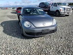 Volkswagen Beetle 2014