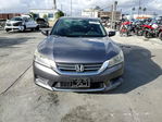 Honda Accord 2013