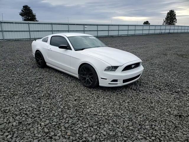 Ford Mustang 2013