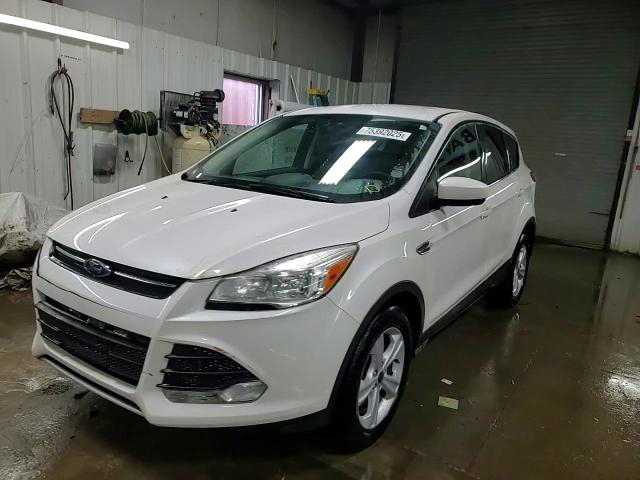 Ford Escape 2014