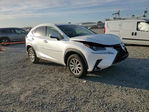 Lexus NX 2019