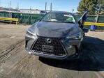 Lexus NX 2025
