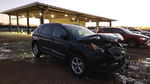 Ford Edge 2024