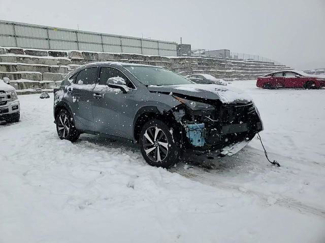 Lexus NX 2021