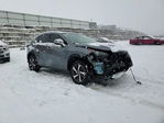 Lexus NX 2021