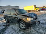 Mazda Tribute 2006