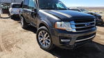 Ford Expedition 2015