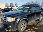 Ford Escape 2012