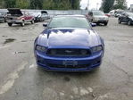 Ford Mustang 2014