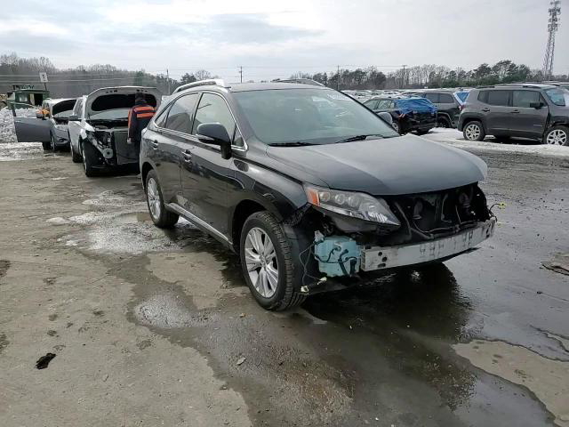 Lexus RX 2010