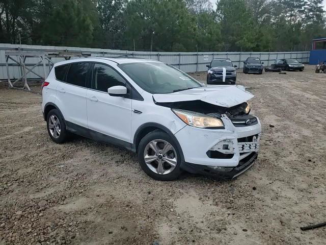 Ford Escape 2014