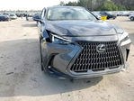 Lexus NX 2024