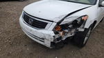 Honda Accord 2009