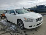 Nissan Maxima 2010