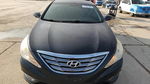 Hyundai Sonata 2013