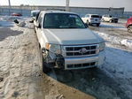 Ford Escape 2012