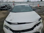 Honda Civic 2025