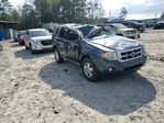 Ford Escape 2009