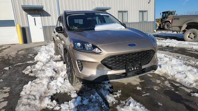 Ford Escape 2020