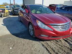 Hyundai Sonata 2013