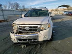 Ford Escape 2012